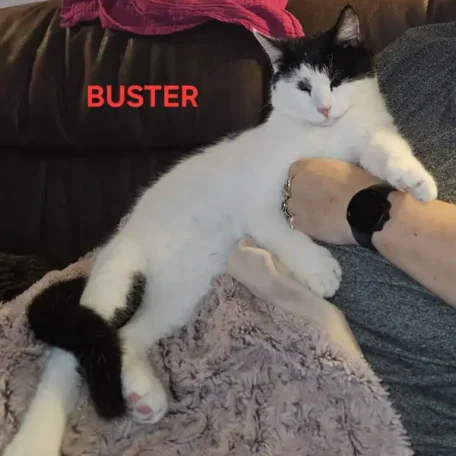 Buster 3