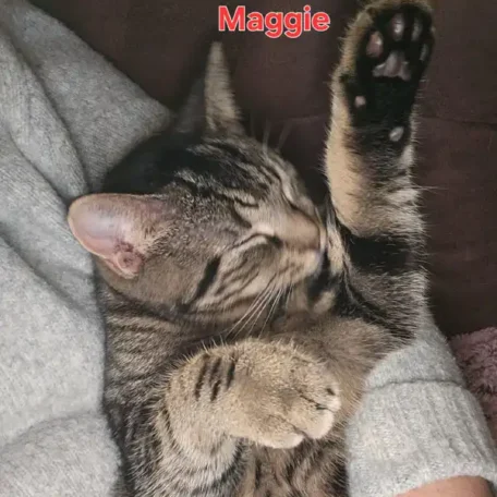 Maggie 6